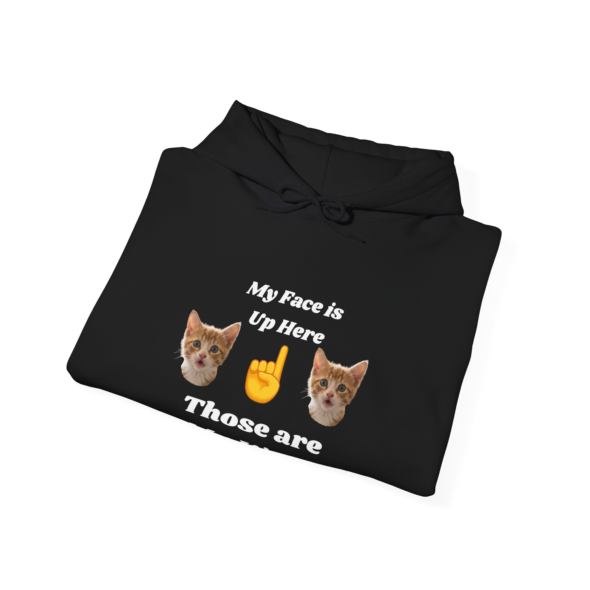 Cat Lovers Hilarious Hoodie "My Face is Up Here"
