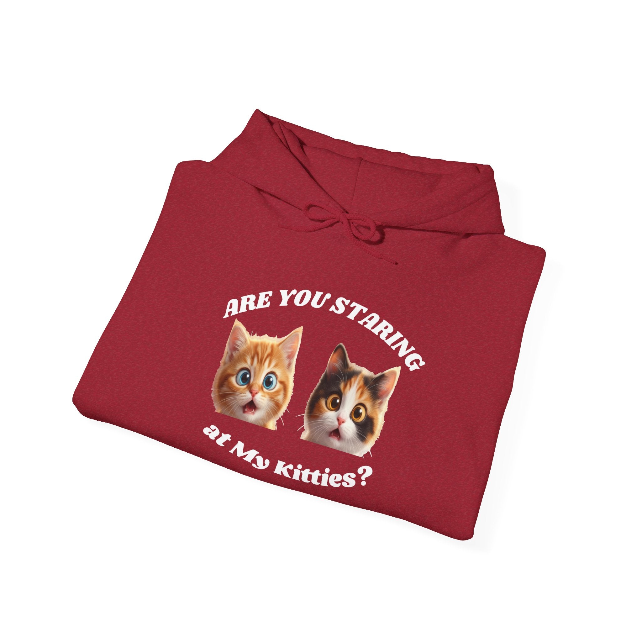 Cat Funny "Are You Staring?" Comfy Hoodie