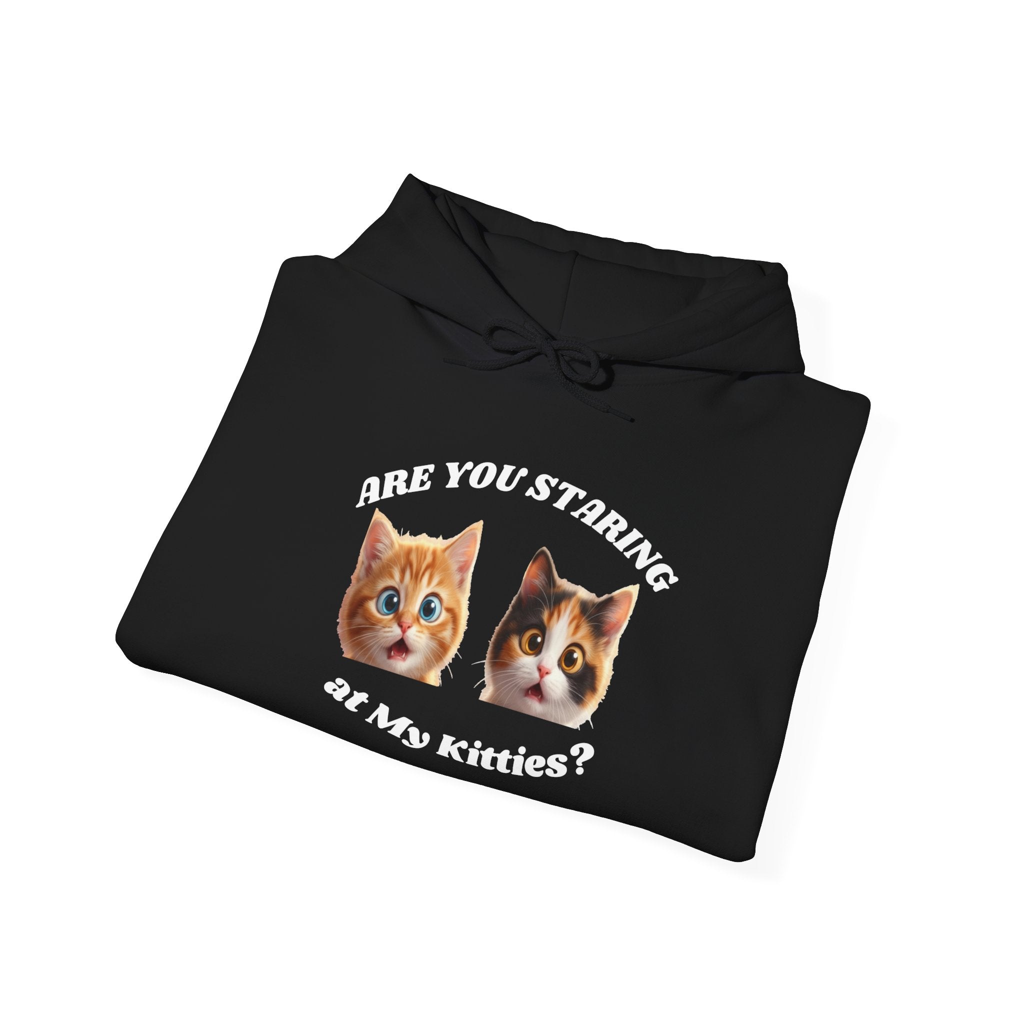 Cat Funny "Are You Staring?" Comfy Hoodie