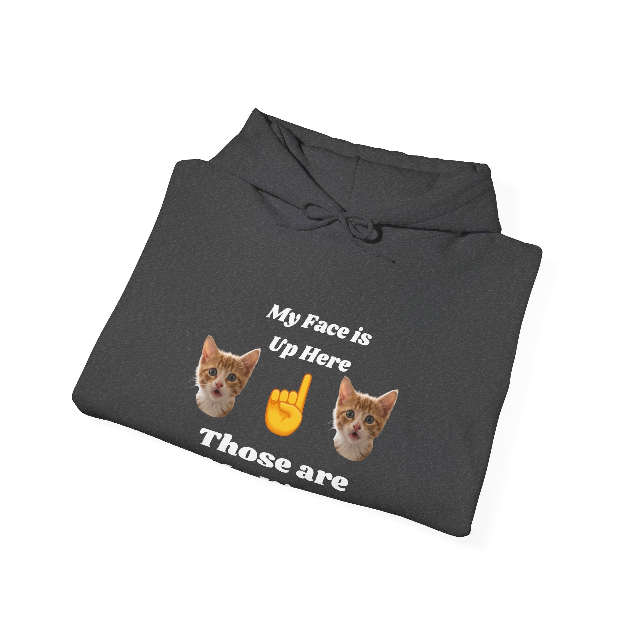 Cat Lovers Hilarious Hoodie "My Face is Up Here"
