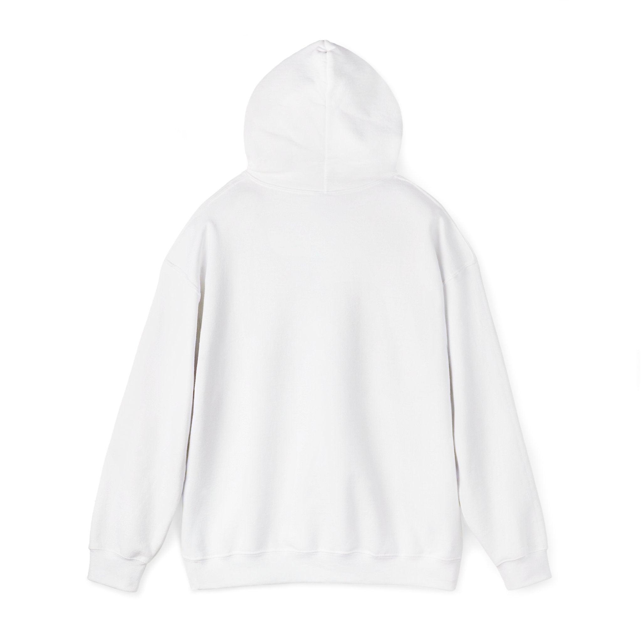 Cat Meme-Clean It or the Next One Is on Your Pillow! | Funny Cat Lover Hoodie