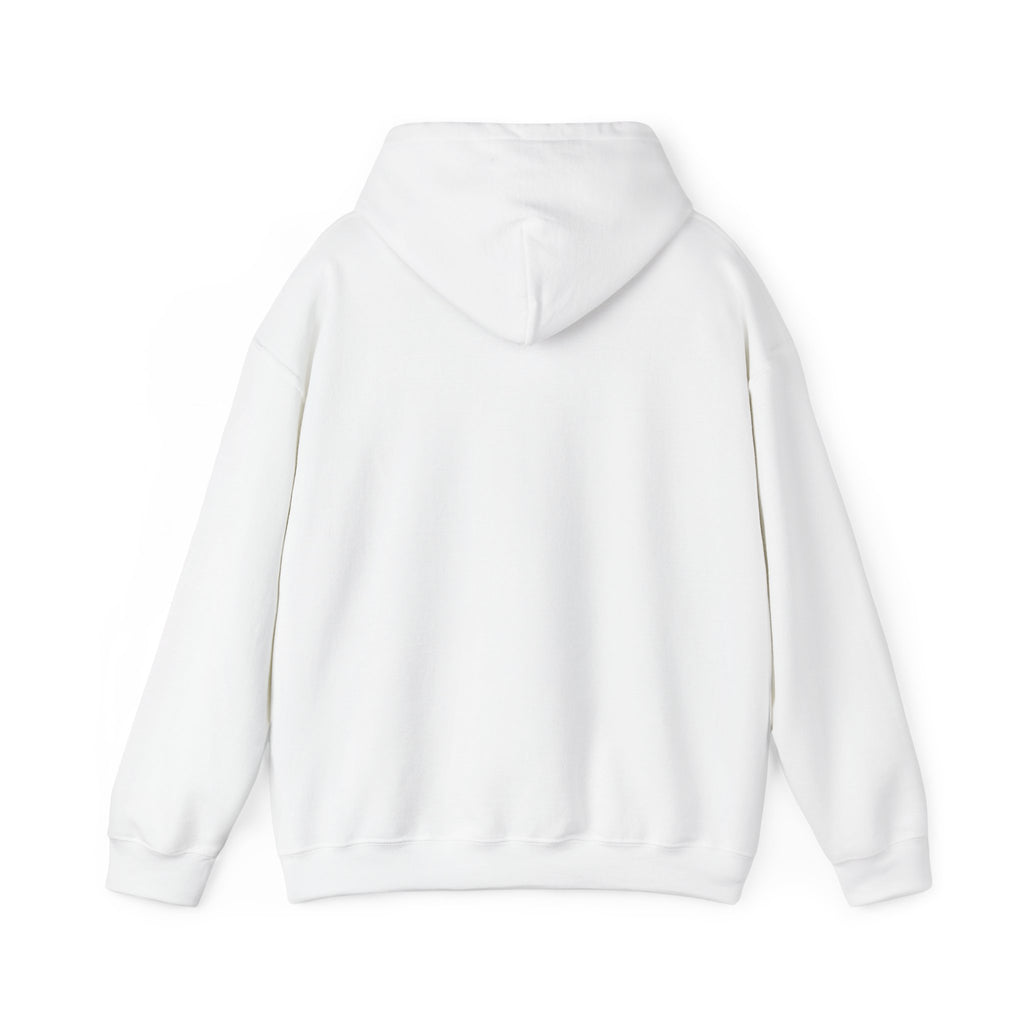 Cat Meme-Clean It or the Next One Is on Your Pillow! | Funny Cat Lover Hoodie