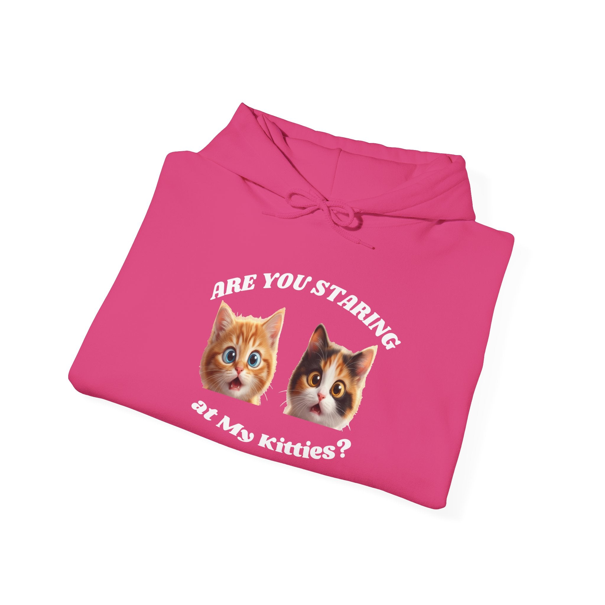 Cat Funny "Are You Staring?" Comfy Hoodie