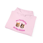 Cat Fun "Are You Staring" Hilarious Hoodie