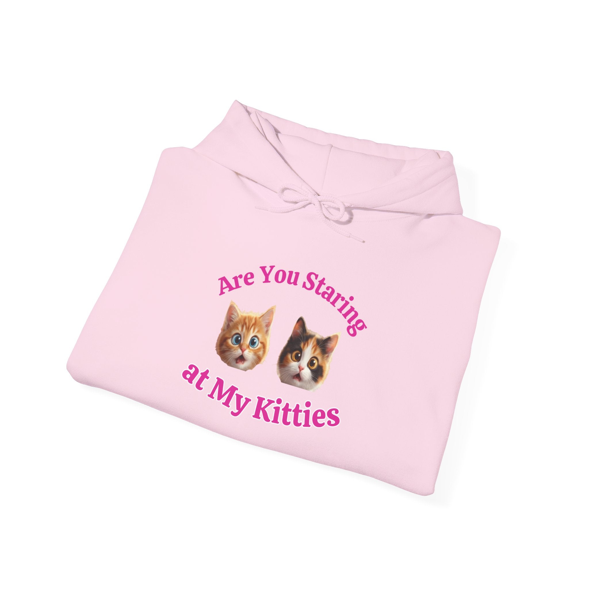 Cat Fun "Are You Staring" Hilarious Hoodie