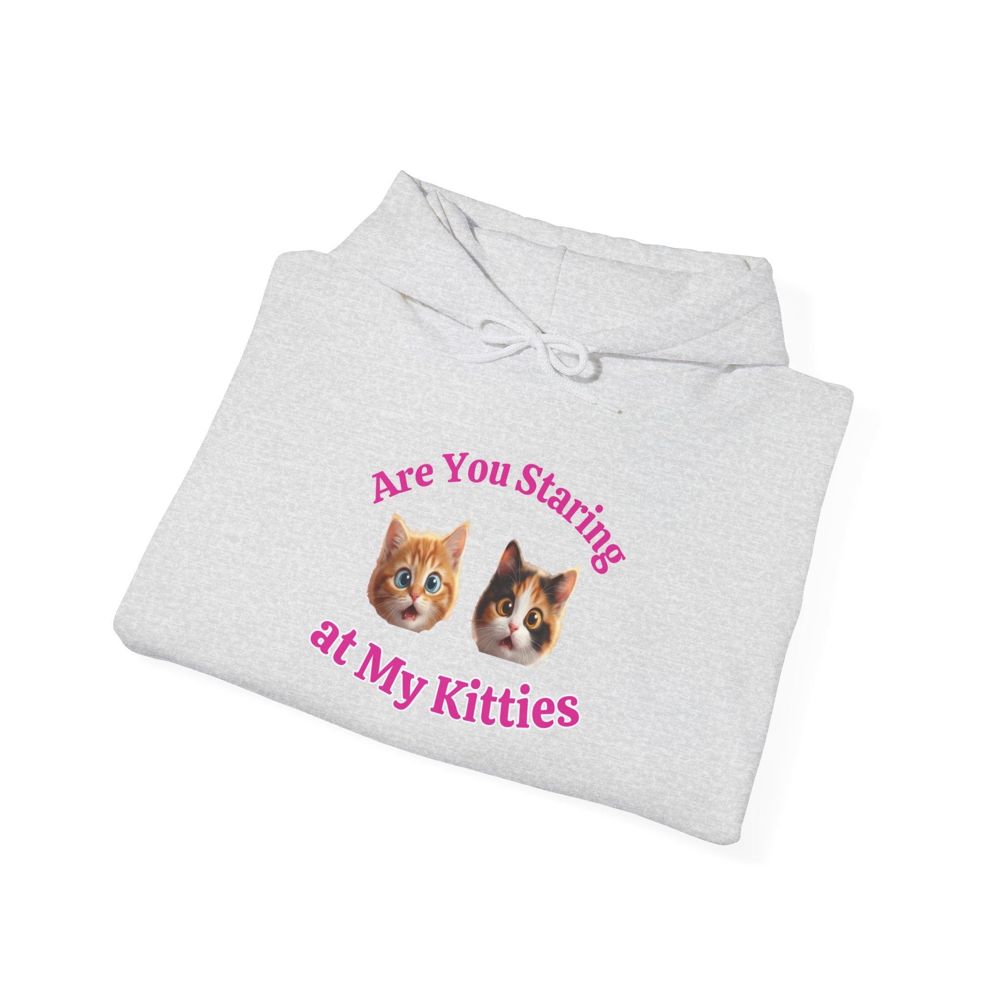 Cat Fun "Are You Staring" Hilarious Hoodie
