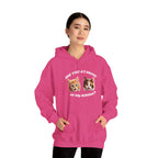 Cat Funny "Are You Staring?" Comfy Hoodie