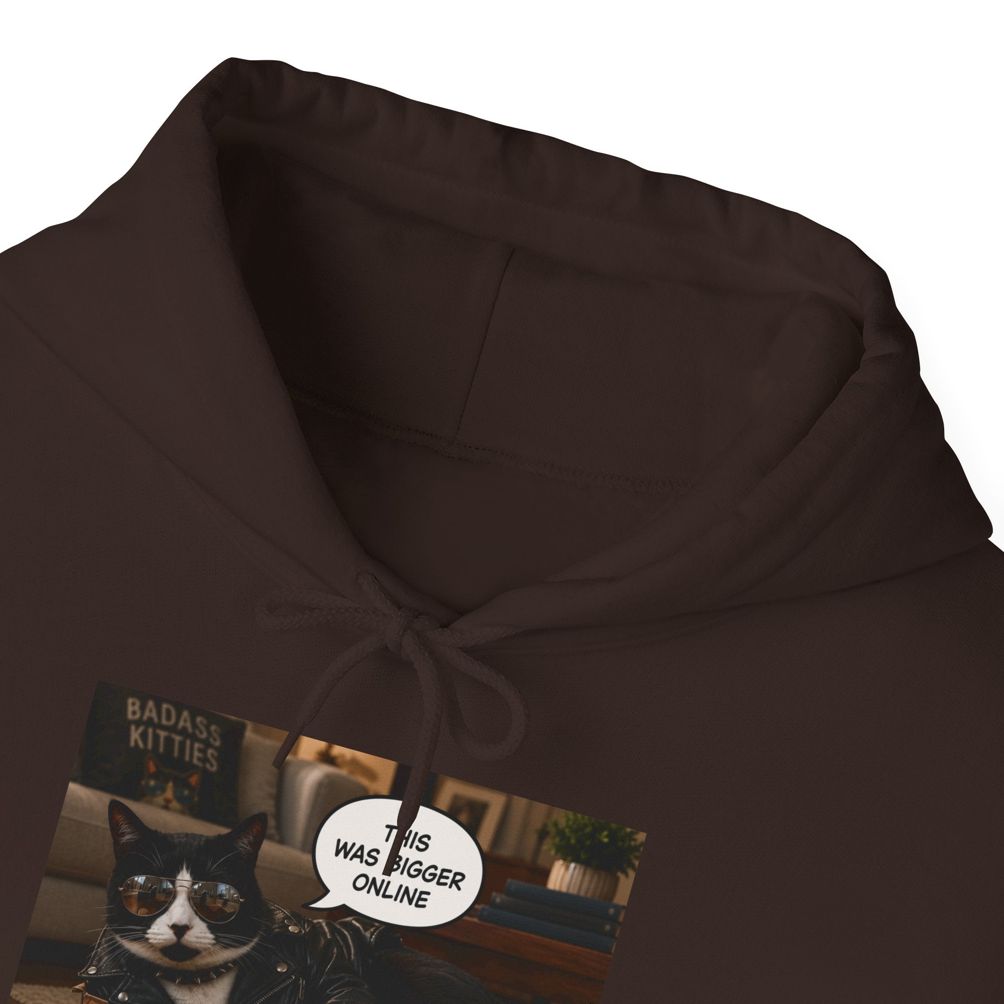 Cat Meme-This Was Bigger Online – Funny Badass Cat Hoodie